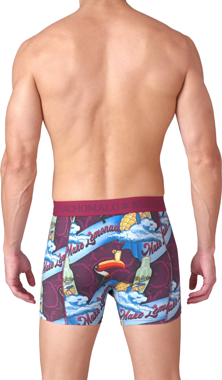 Muchachomalo Boxershorts 2-Pack Multicolor Divers