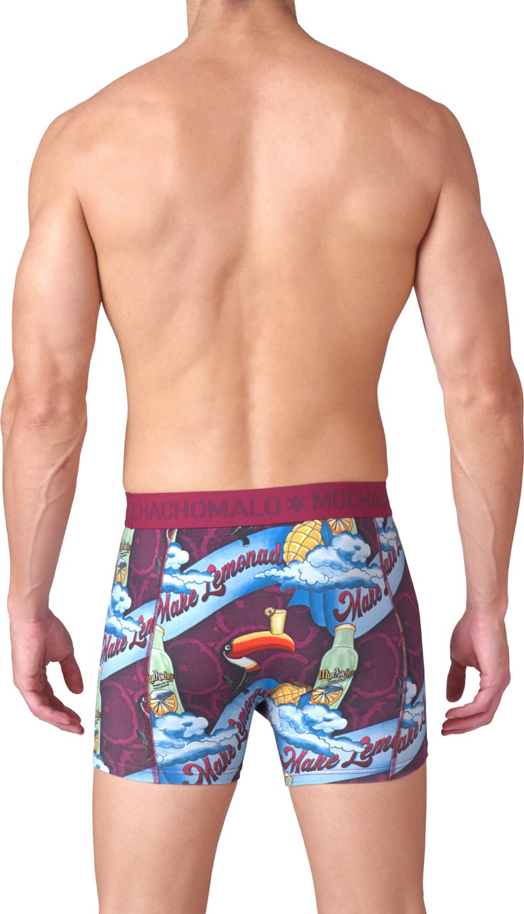 Muchachomalo Boxershorts 3-Pack Multicolor Divers