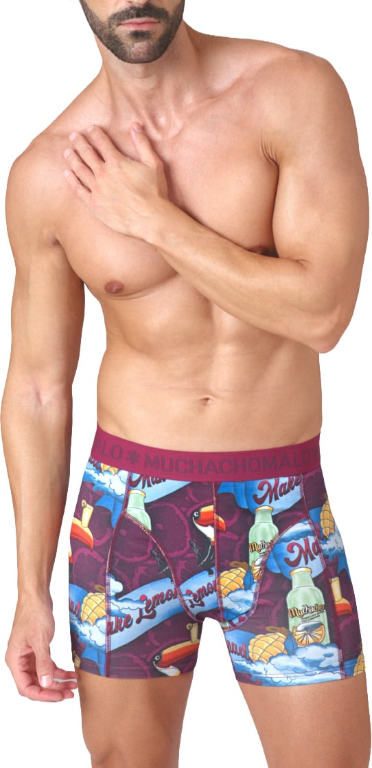 Muchachomalo Boxershorts 3-Pack Multicolor Divers