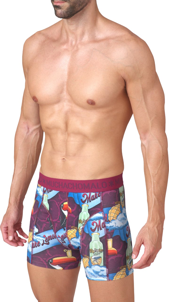 Muchachomalo Boxershorts 3-Pack Multicolor Divers