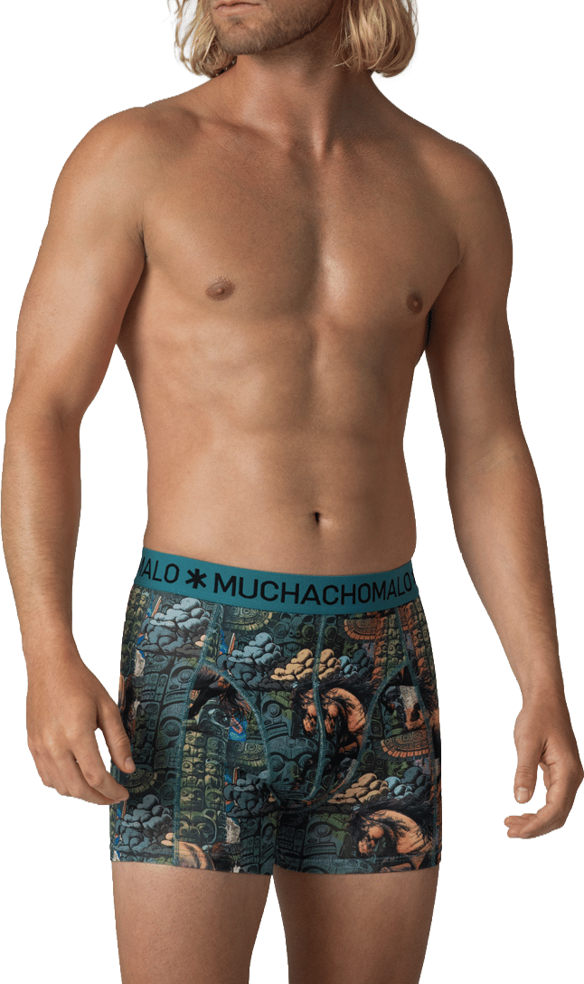 Muchachomalo Boxershorts 3-Pack Multicolor Divers