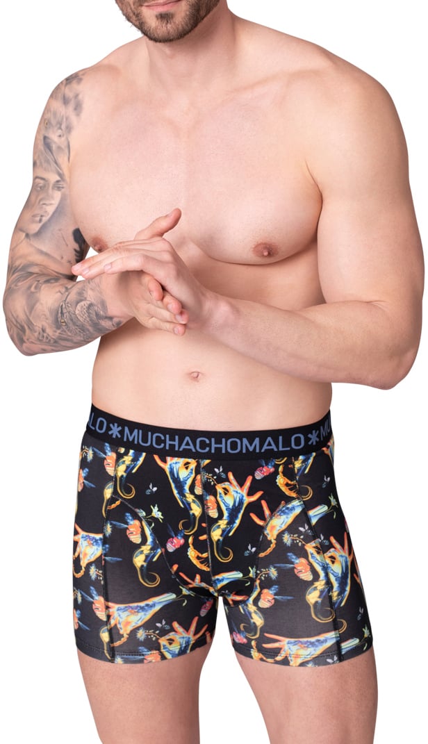 Muchachomalo Boxershorts 12-Pack Multicolor Divers