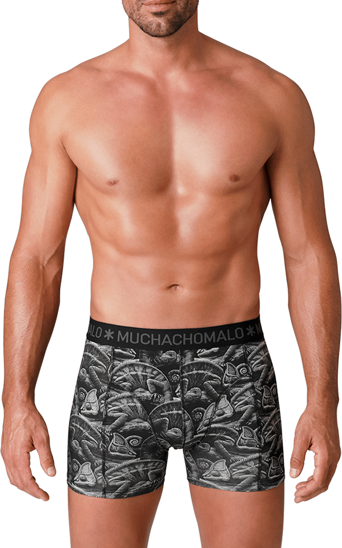 Muchachomalo Muchachomalo Divers