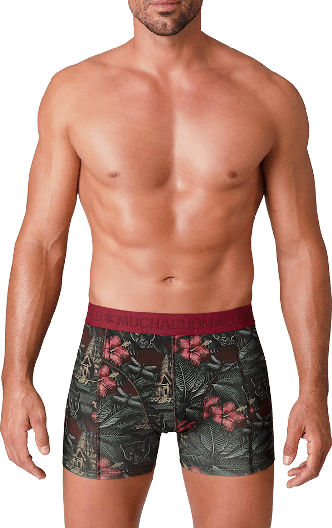 Muchachomalo Muchachomalo Divers