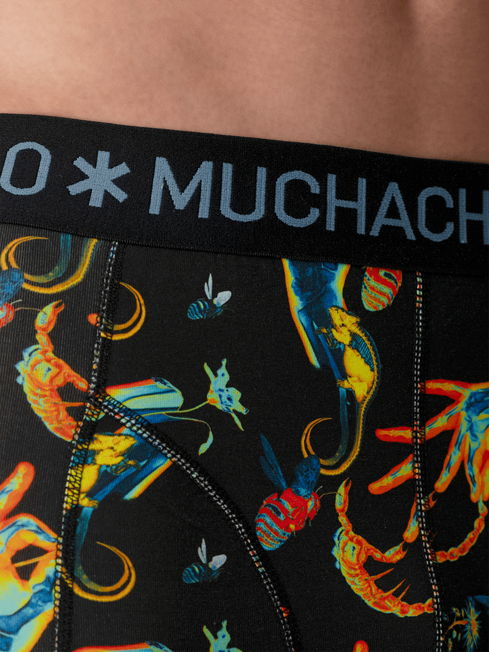 Muchachomalo Muchachomalo Divers