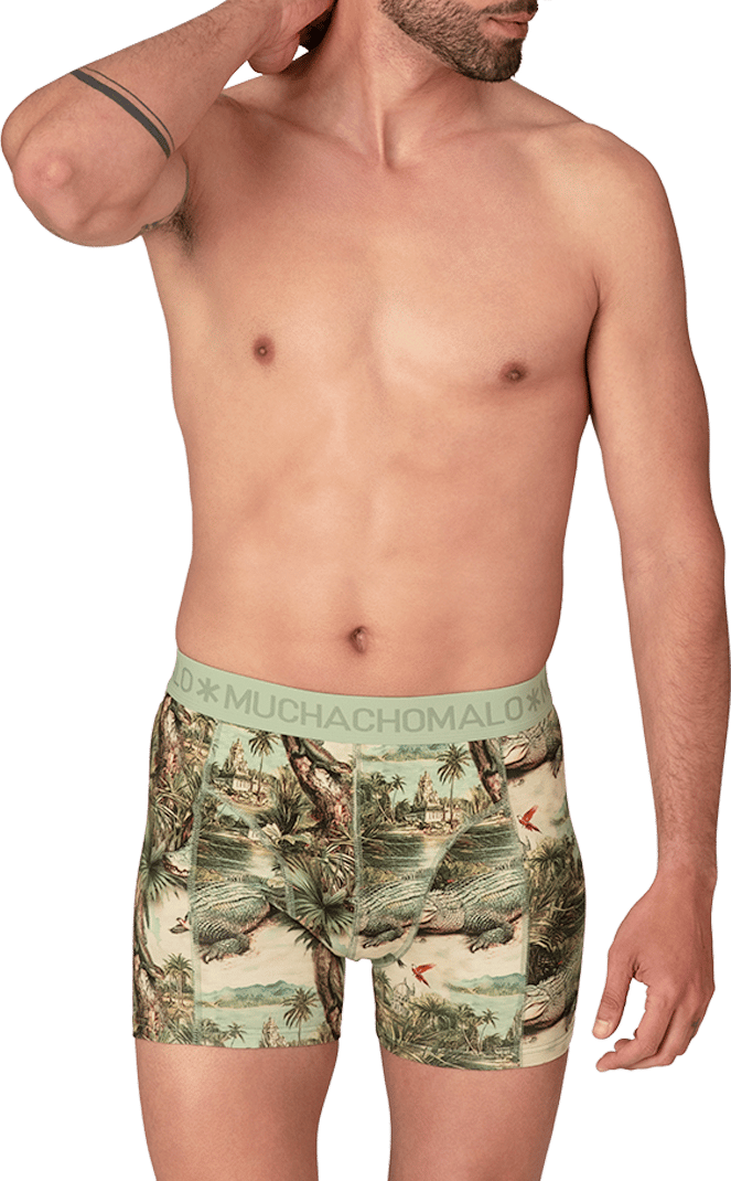 Muchachomalo Muchachomalo Divers