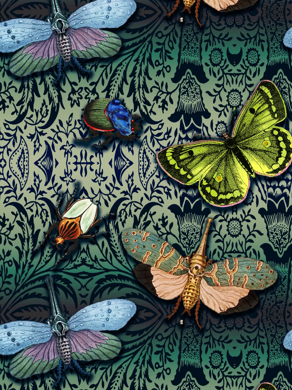 Muchachomalo Muchachomalo Divers