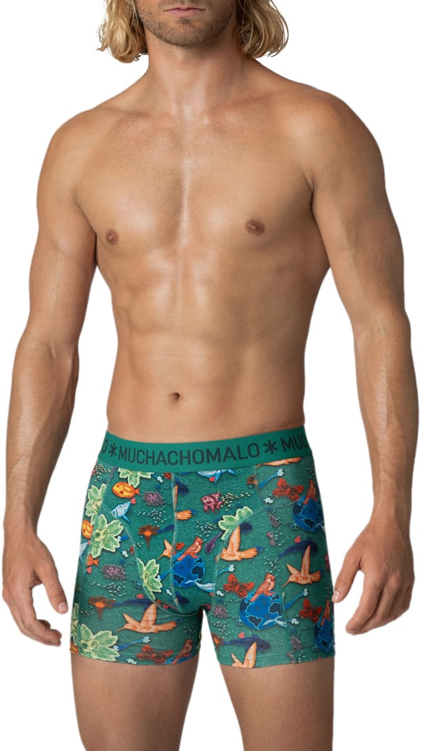 Muchachomalo Muchachomalo Divers