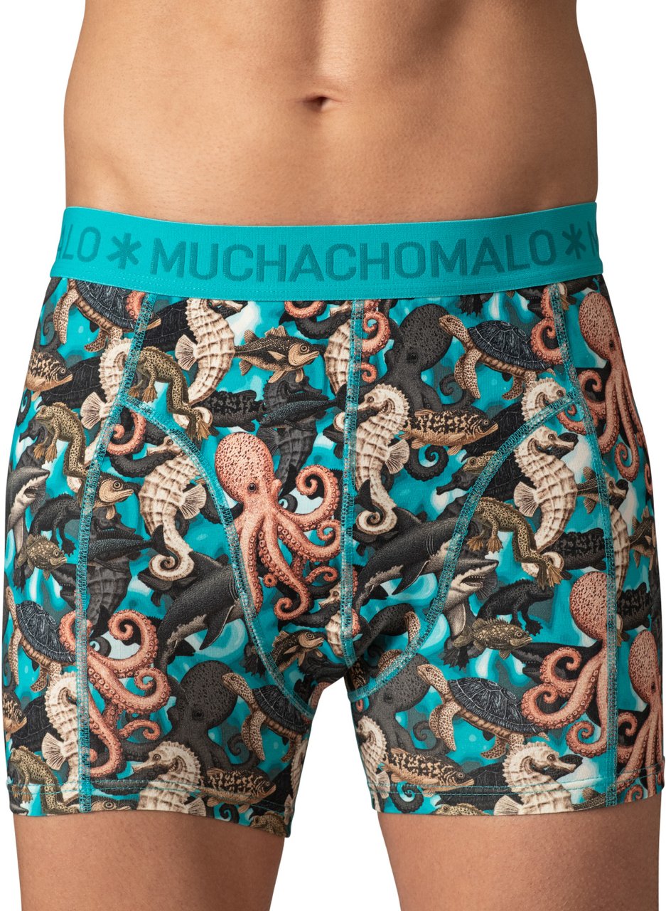 Muchachomalo Boxershorts 12-Pack Multicolor Divers