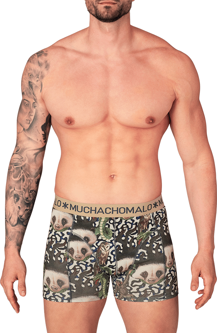 Muchachomalo Muchachomalo Divers