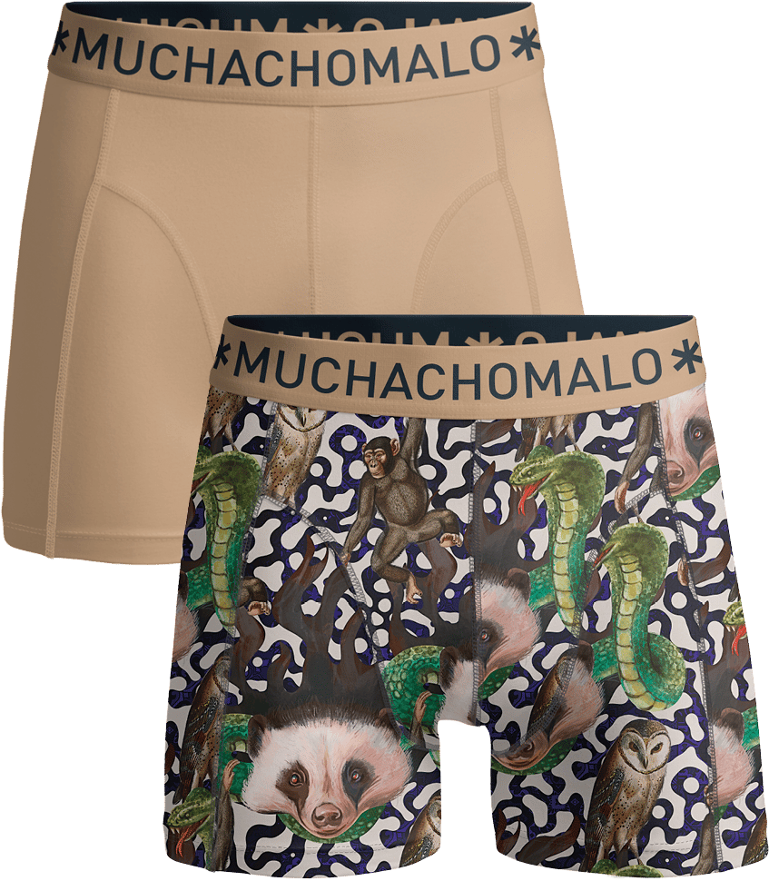 Muchachomalo Muchachomalo Divers