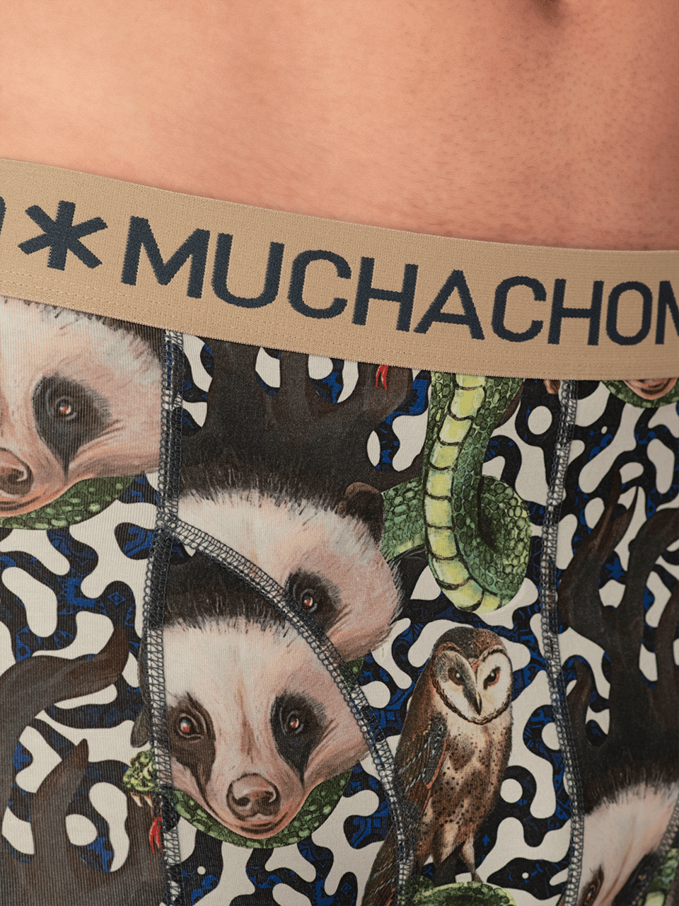 Muchachomalo Muchachomalo Divers