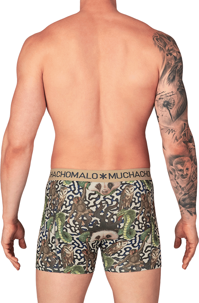 Muchachomalo Muchachomalo Divers