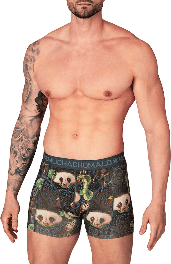 Muchachomalo Boxershorts 3-Pack Multicolor Divers