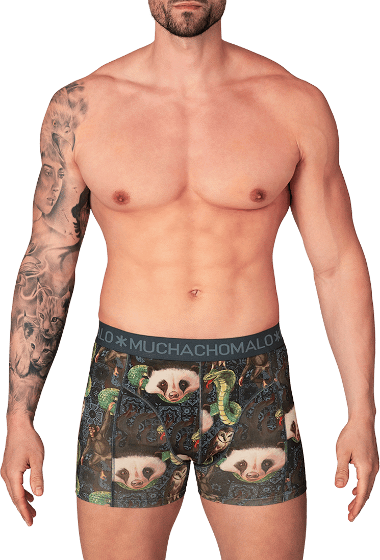 Muchachomalo Boxershorts 3-Pack Multicolor Divers