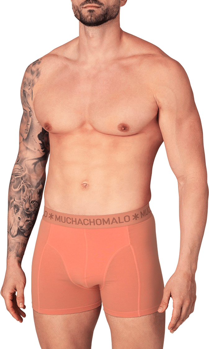 Muchachomalo Boxershorts 3-Pack Multicolor Divers