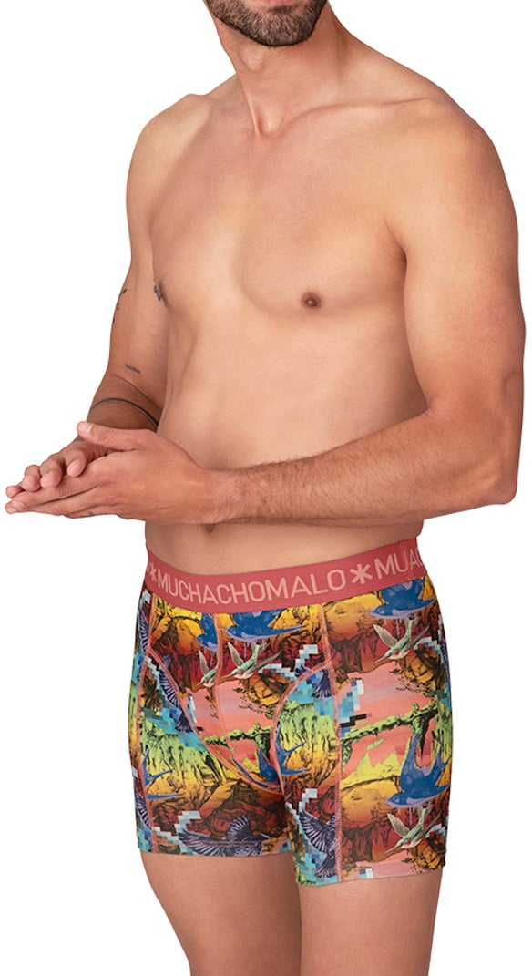 Muchachomalo Boxershorts 7-Pack Multicolor Divers