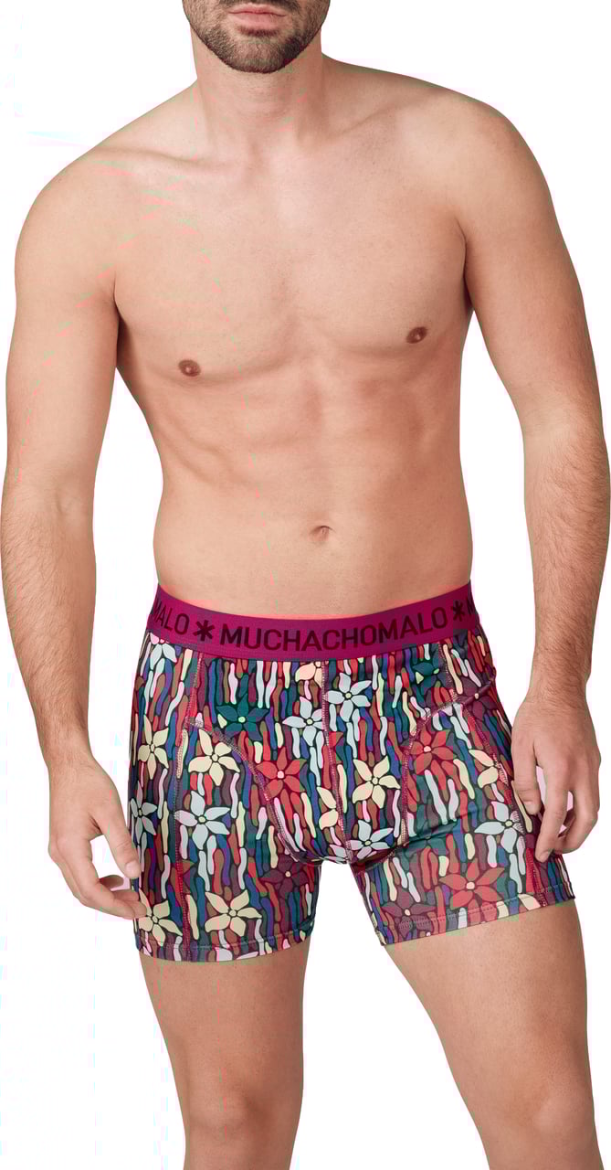 Muchachomalo Muchachomalo Divers