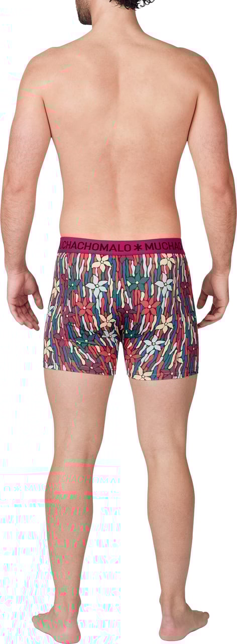 Muchachomalo Muchachomalo Divers