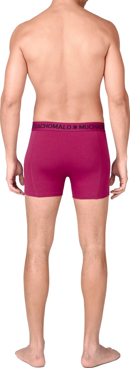 Muchachomalo Muchachomalo Divers