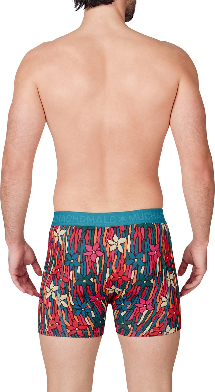 Muchachomalo Boxershorts 2-Pack Multicolor Divers