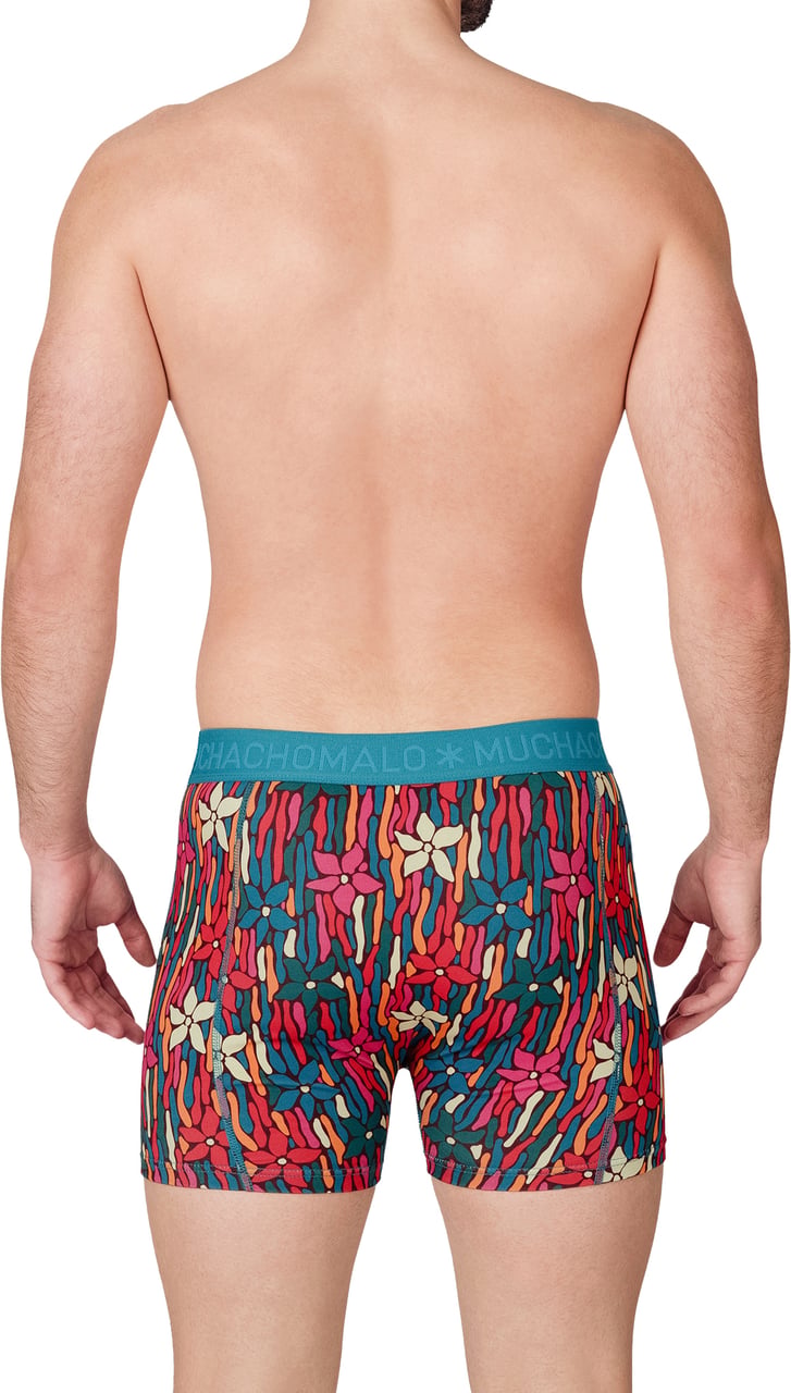 Muchachomalo Boxershorts 2-Pack Multicolor Divers