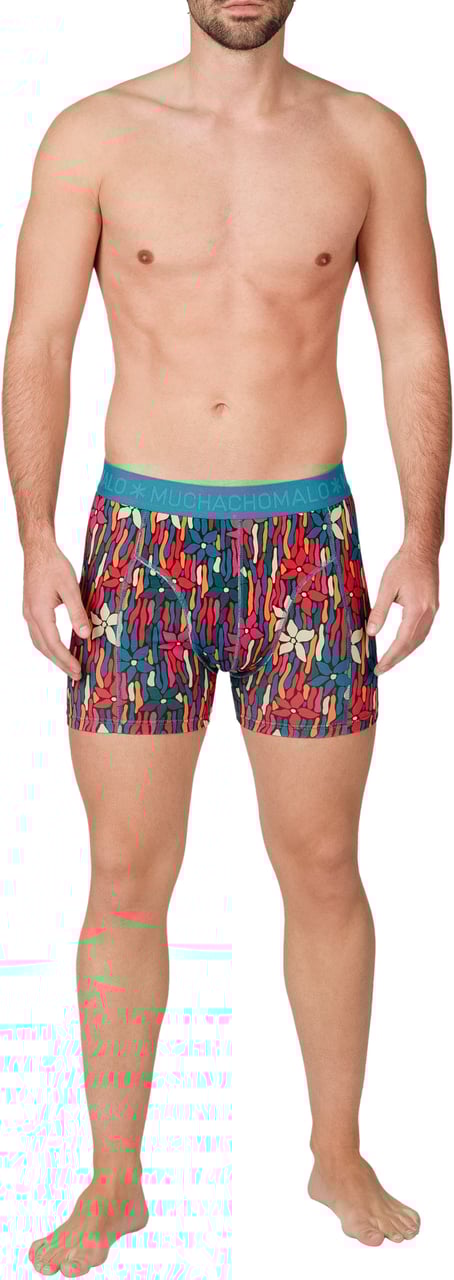 Muchachomalo Boxershorts 2-Pack Multicolor Divers
