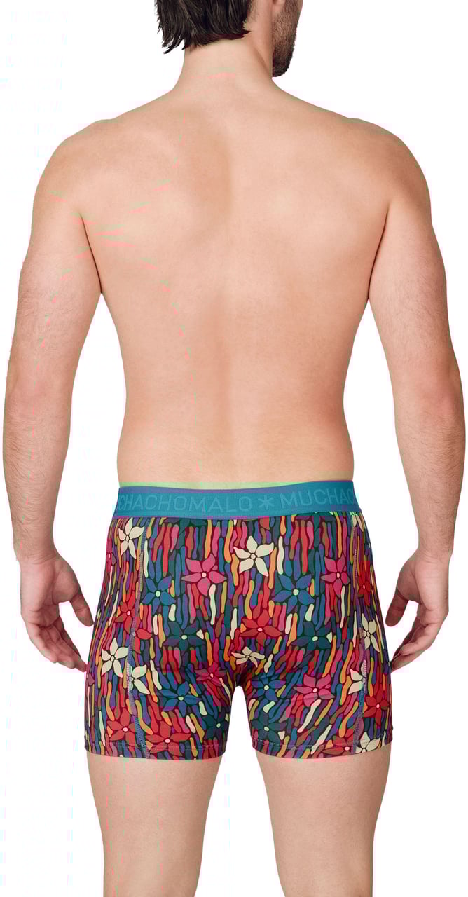 Muchachomalo Boxershorts 2-Pack Multicolor Divers