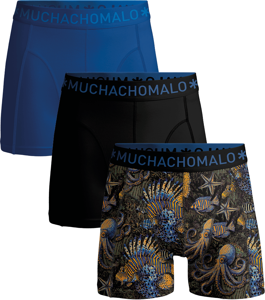 Muchachomalo Muchachomalo Divers