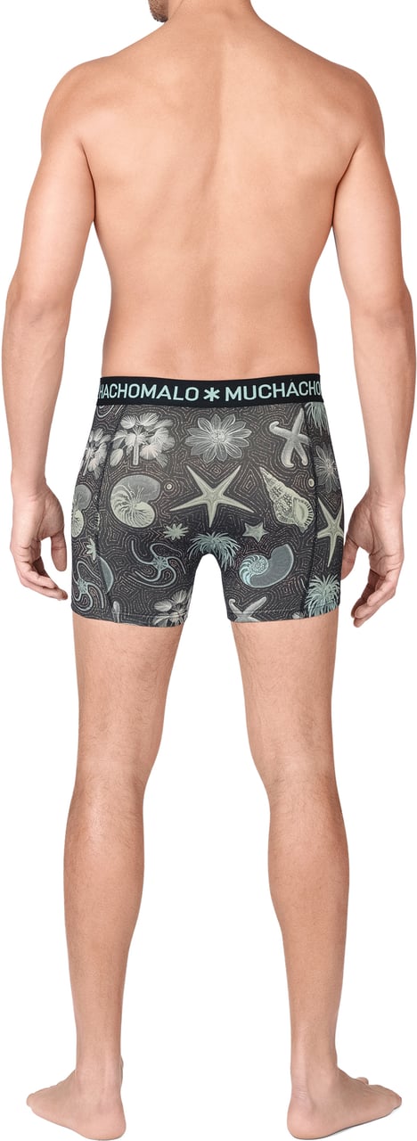 Muchachomalo Boxershorts 3-Pack Multicolor Divers