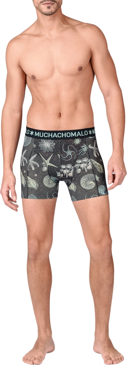 Muchachomalo Boxershorts 3-Pack Multicolor Divers