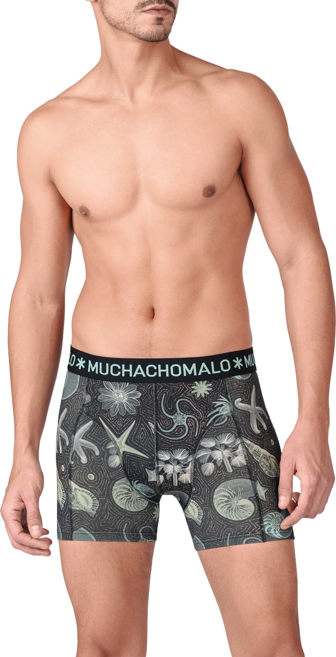 Muchachomalo Muchachomalo Divers