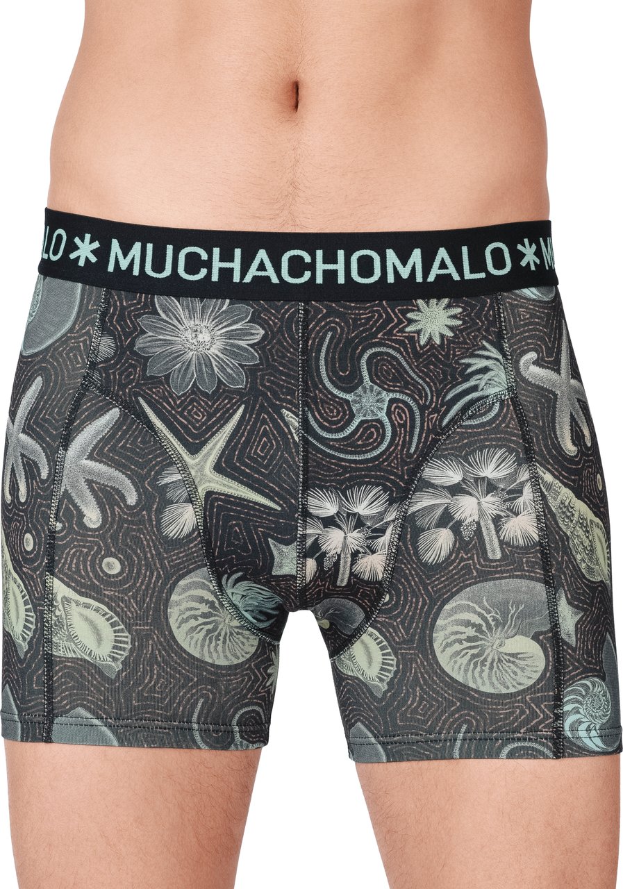 Muchachomalo Muchachomalo Divers