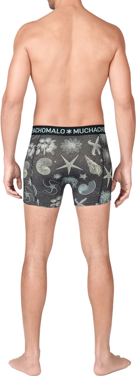 Muchachomalo Boxershorts 3-Pack Multicolor Divers