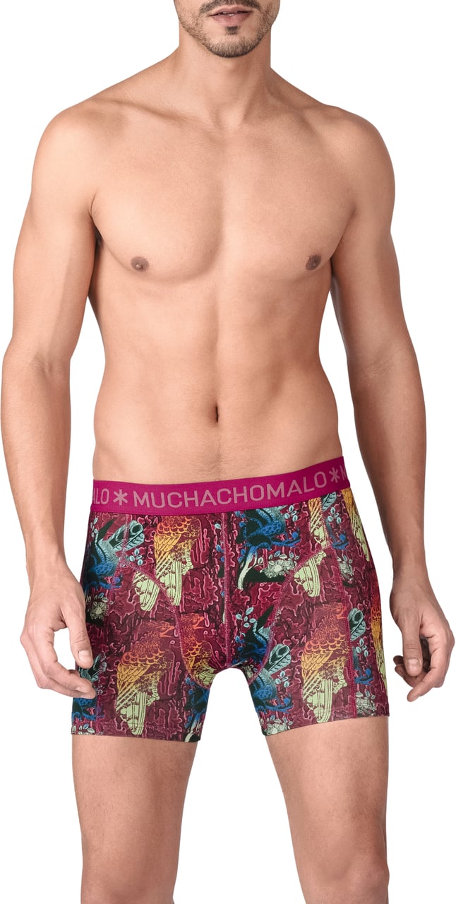 Muchachomalo Muchachomalo Divers