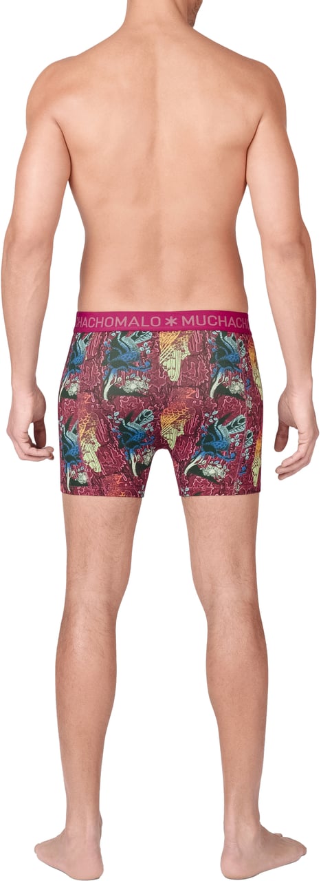 Muchachomalo Muchachomalo Divers