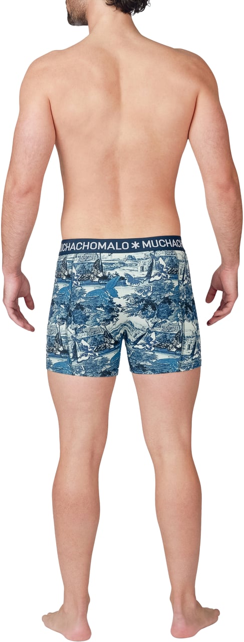 Muchachomalo Muchachomalo Divers