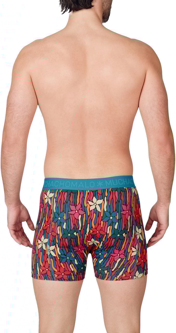 Muchachomalo Muchachomalo Divers