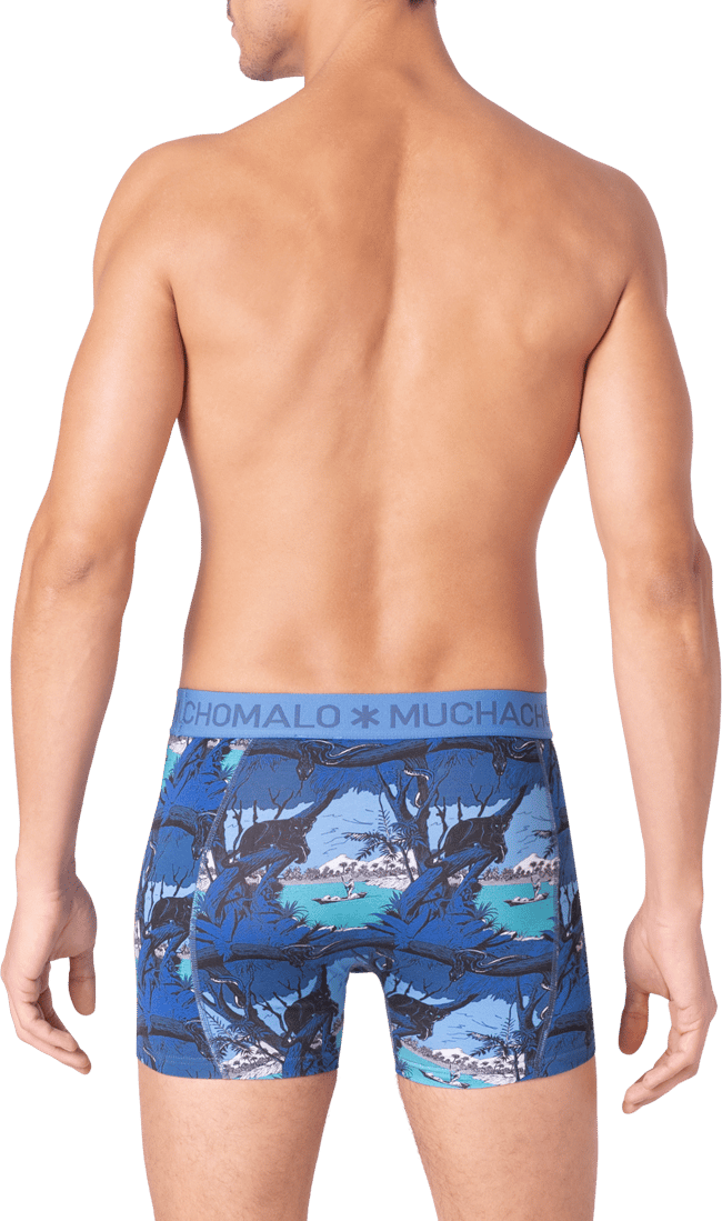 Muchachomalo Muchachomalo Divers