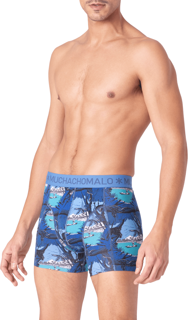 Muchachomalo Muchachomalo Divers