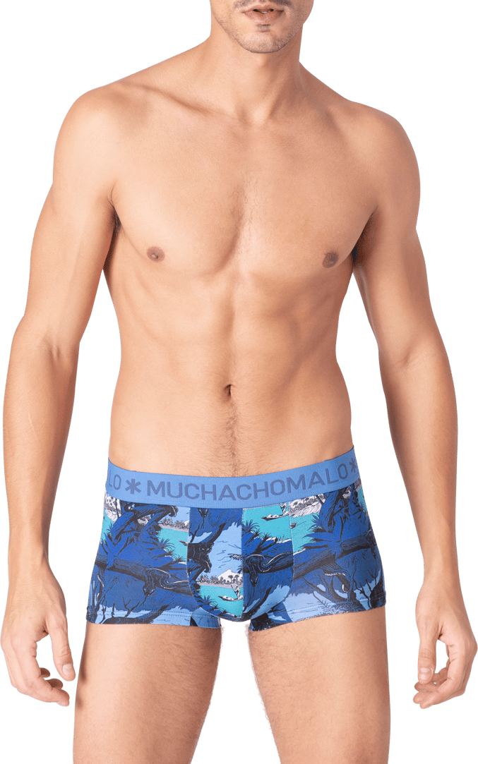 Muchachomalo Muchachomalo Divers