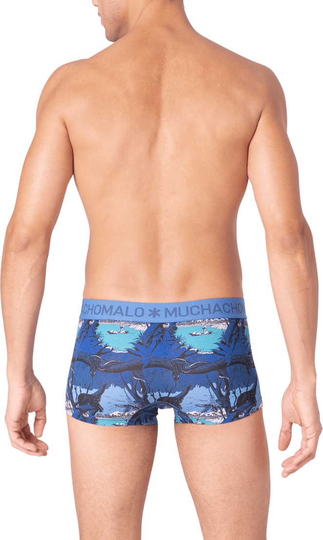 Muchachomalo Muchachomalo Divers