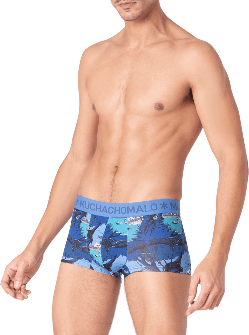 Muchachomalo Muchachomalo Divers