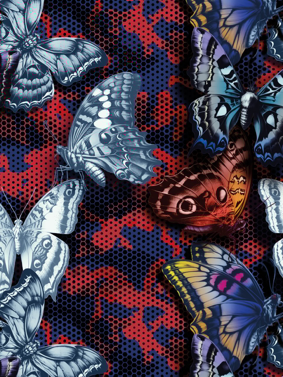 Muchachomalo Boxershorts 10-Pack Multicolor Divers