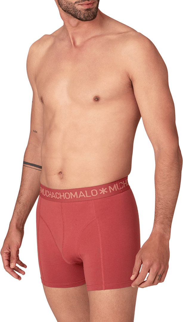 Muchachomalo Boxershorts 3-Pack Multicolor Divers