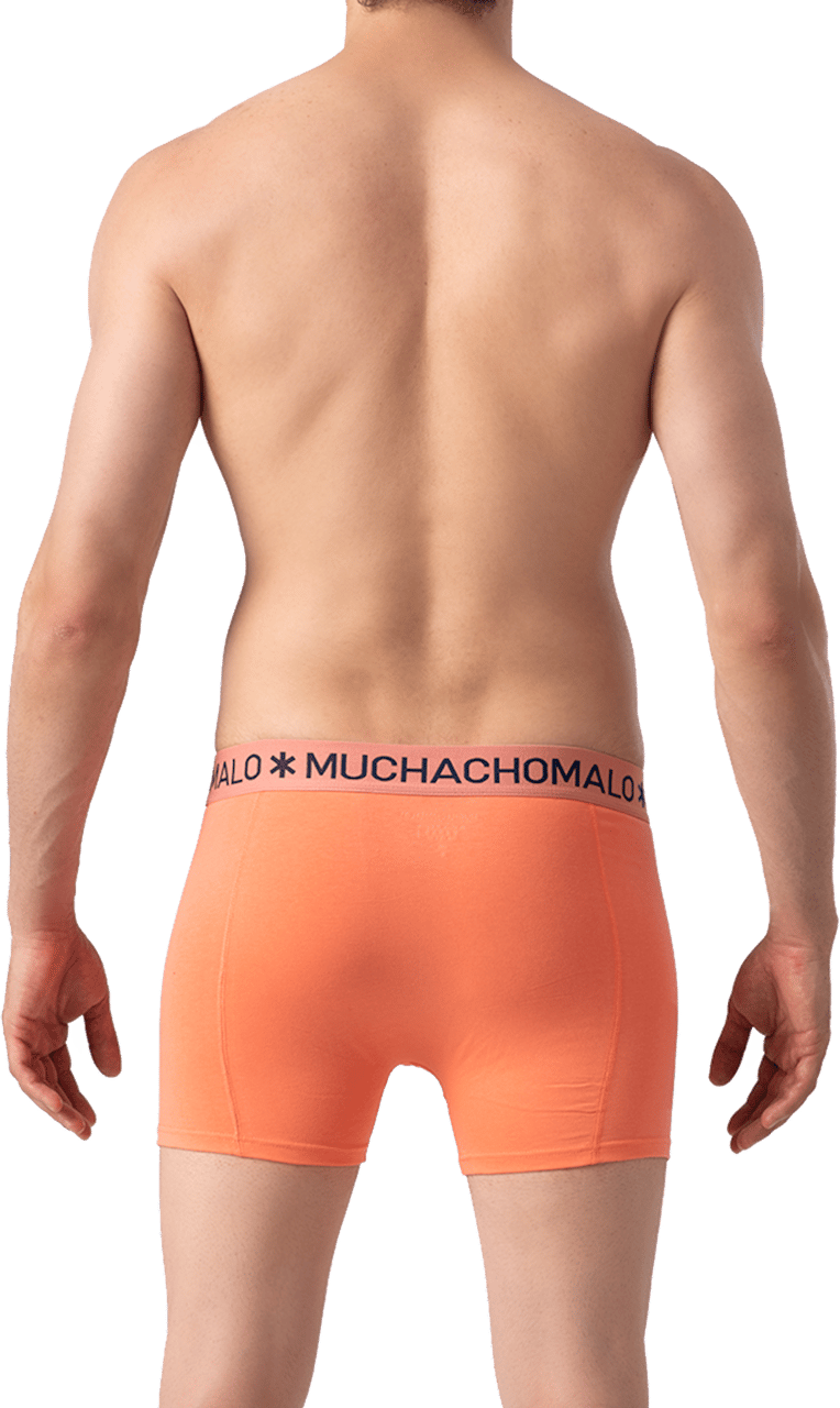 Muchachomalo Muchachomalo Divers