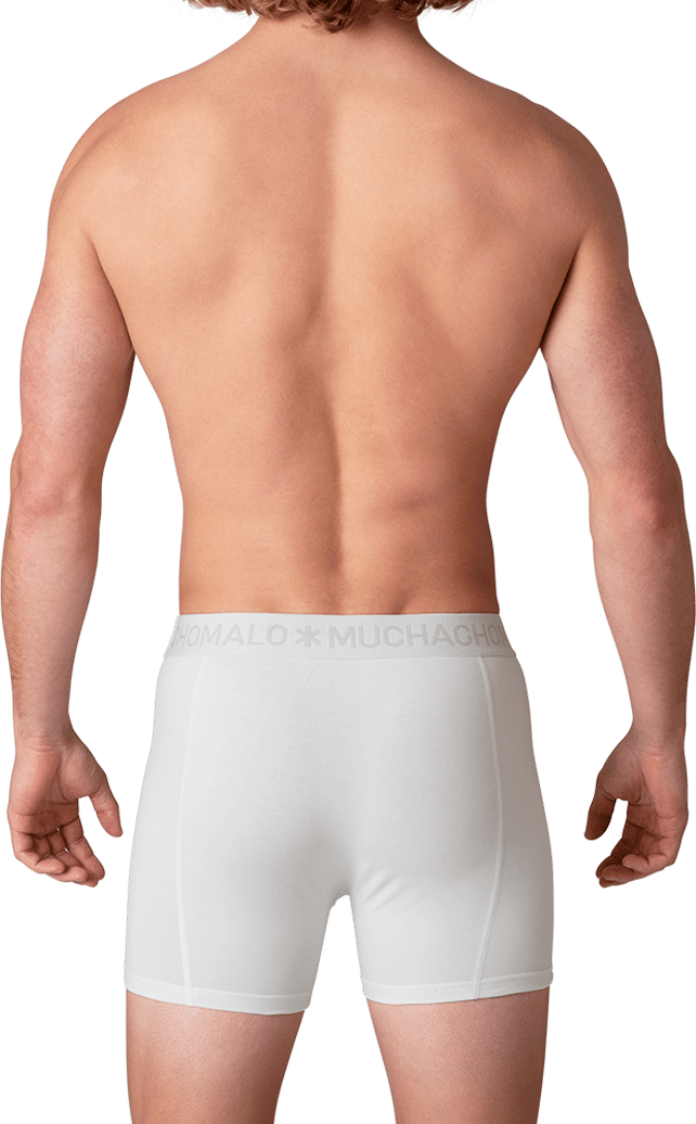 Muchachomalo Muchachomalo Divers