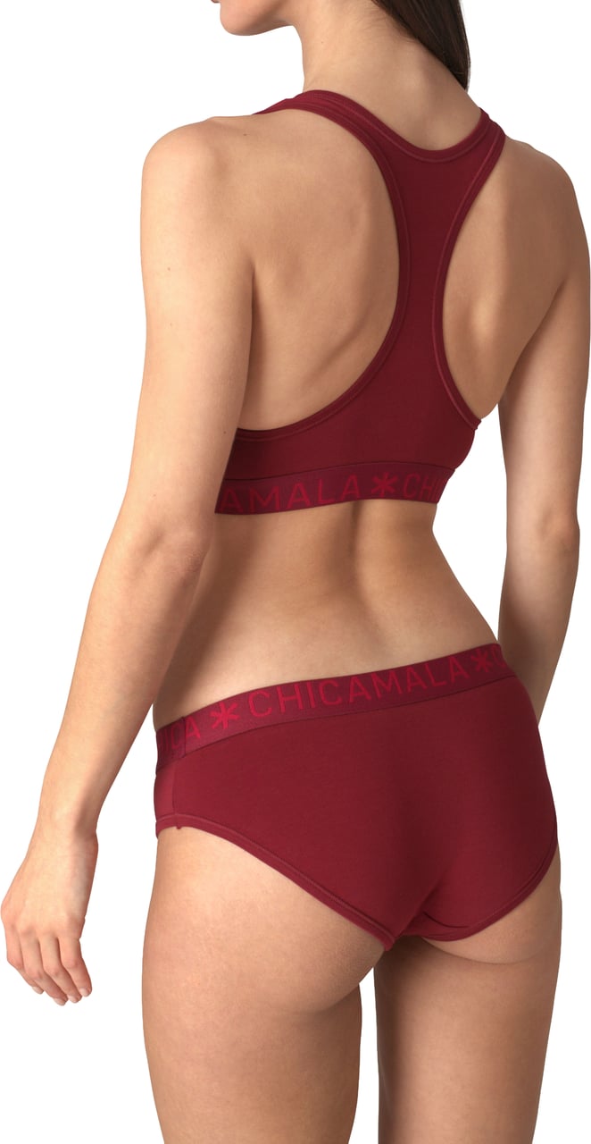 Muchachomalo Briefs 2-Pack Multicolor Divers