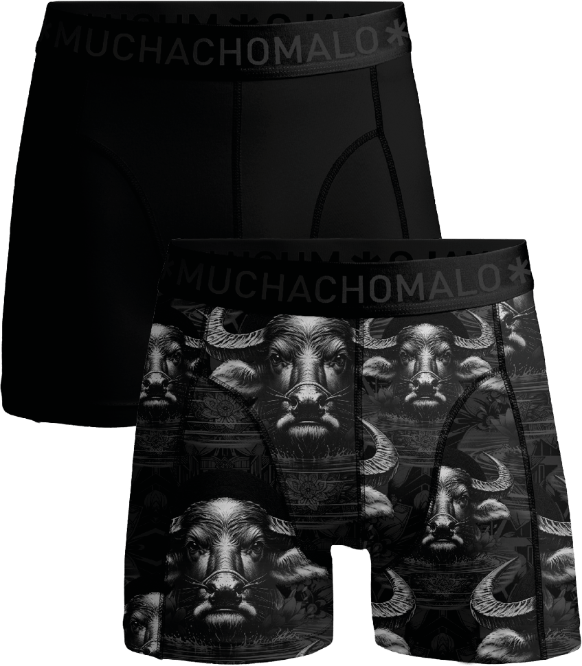 Muchachomalo Muchachomalo Divers