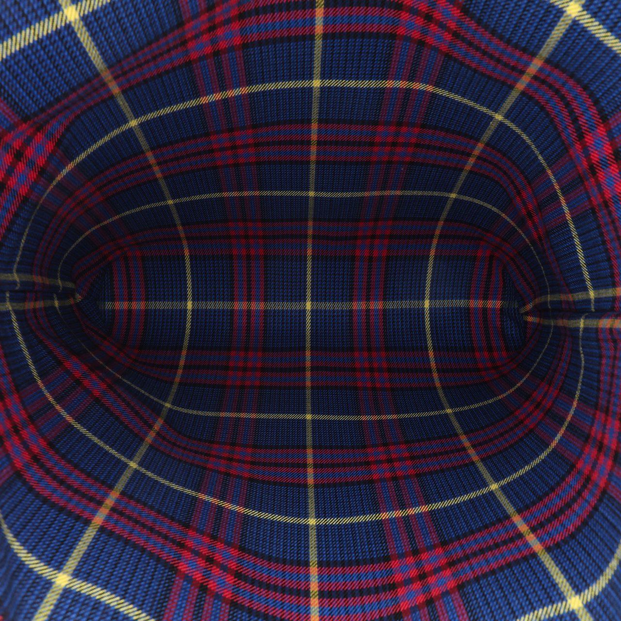 Mulberry Plaid Canvas Tote Blauw